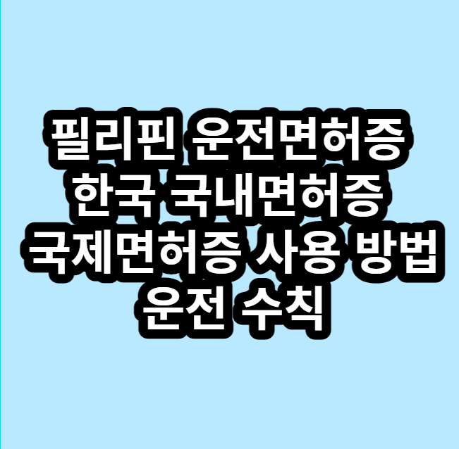 필리핀 운전면허증 한국 국내면허증 및 국제면허증 사용 방법 운전 수칙