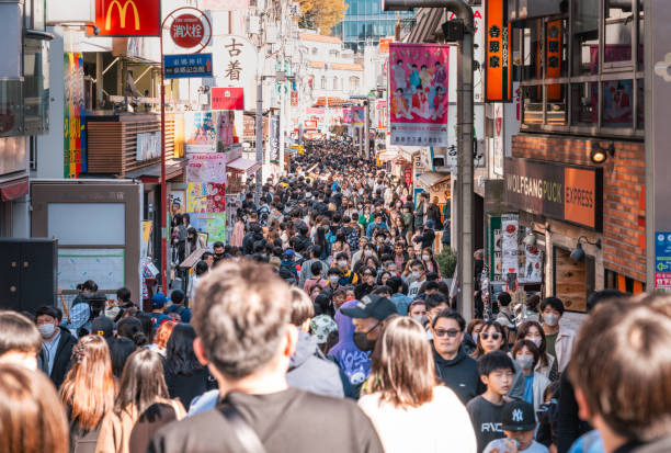 한국의 인구는 절반 :: RIDO.RIDO