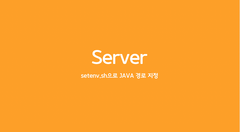 tomcat-setenv-sh-java