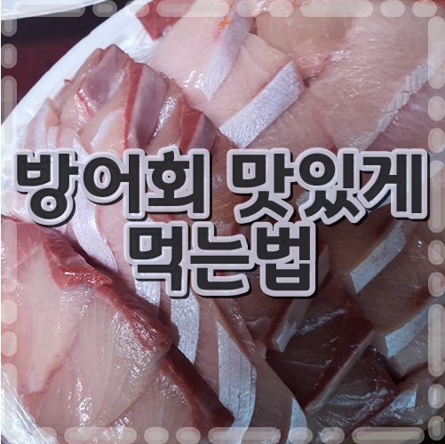 방어회 맛있게 먹는법