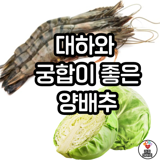 대하와 함께 먹으면 좋은 음식, 대하 양배추 레시피