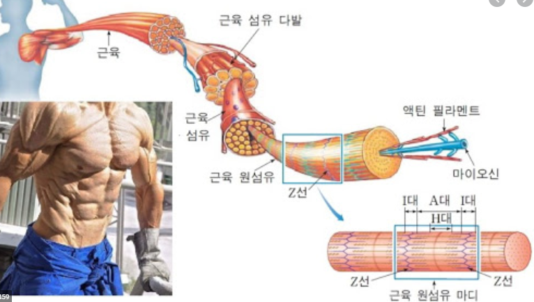 양치승 로이더 논란 팩트정리