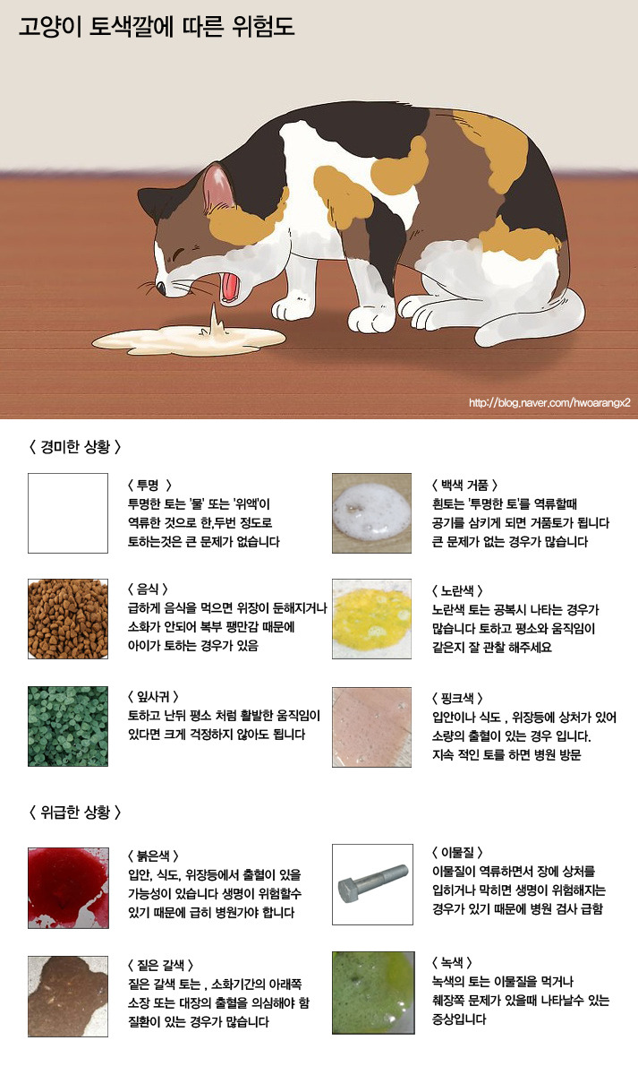 [정보] 고양이 토 색깔 (위험 / 구분 방법) Cat Vomiting Color Chart