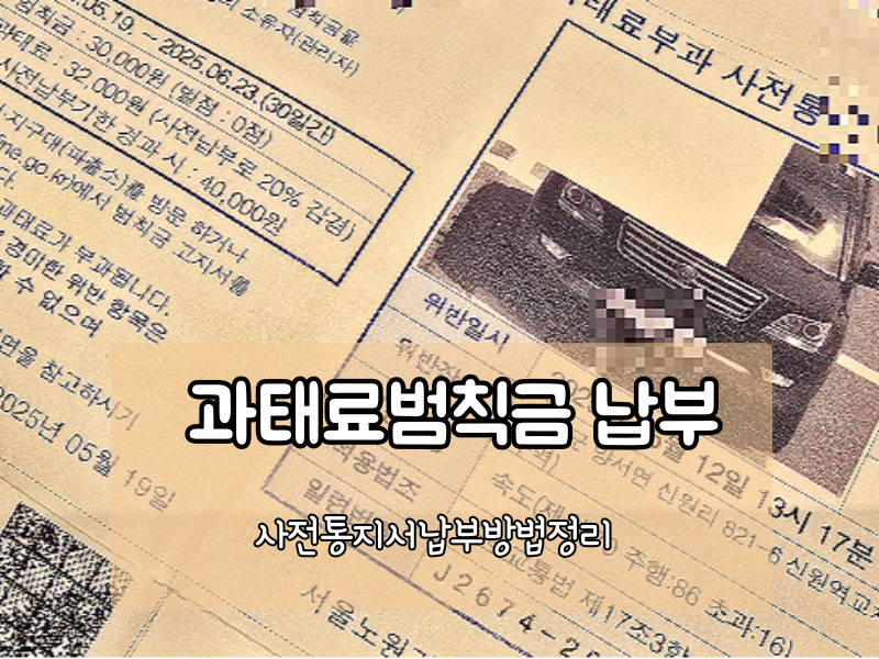 2025년 자동차 범칙금·과태료 납부 방법 총정리 (모르면 손해!)