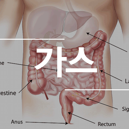 배에 가스가 차는 이유를 알고 해결하자