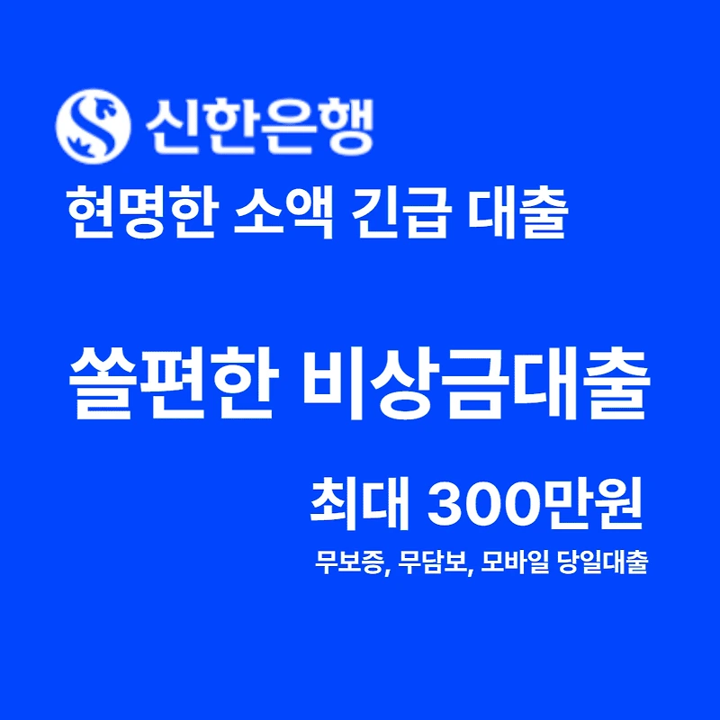 신한은행 비상금대출 : 긴급 자금 마련의 현명한 선택
