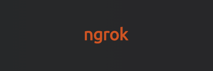 간단하게 외부에서 Localhost를 접속하기: ngrok (일부 무료)