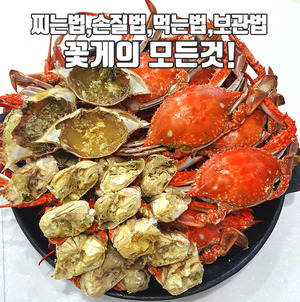 2배 맛있는 꽃게 찌는방법 ! 꽃게 찜 찌는 시간,손질법,먹는법,보관법,기생충 :: 백년밥상TV