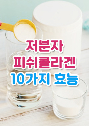 저분자피쉬콜라겐 10가지 효능과 부작용 꼭 알고 드세요!