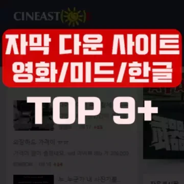 TOP 9 영화 미드 한글 자막 다운로드 사이트[즉.시.성.공]