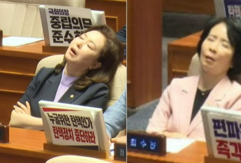 옹호하던 <b>김민전</b>, 결국 ‘<b>백골단</b> 부활’ 도우미로 (+김정현... 