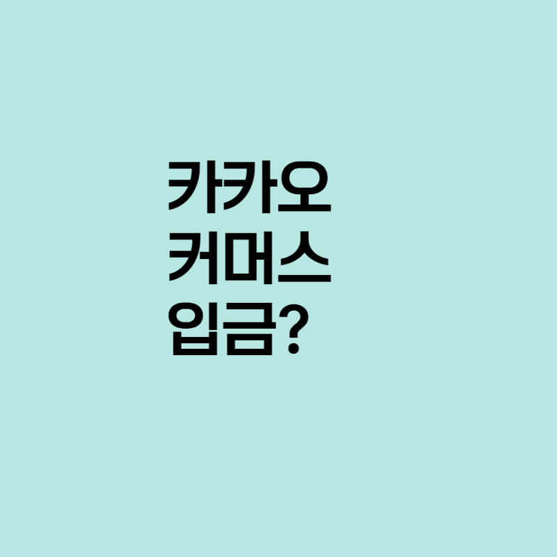 카카오커머스입금?