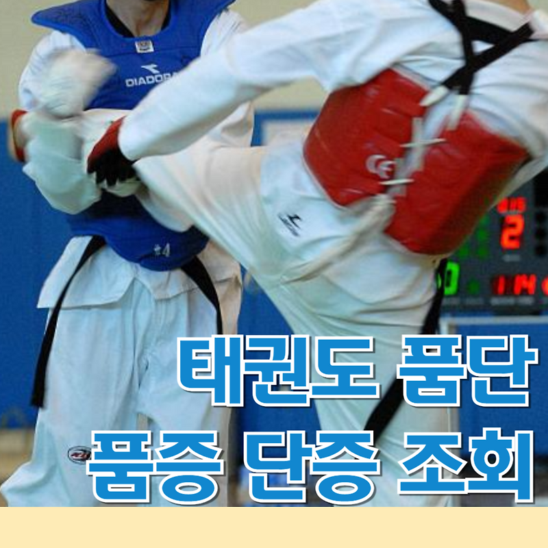 태권도 품종 단증 조회 품띠 품단