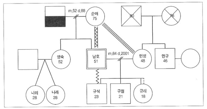 사회복지실천 과정 (4-1) 사정도구 / 가계도 genogram / 생태도 ecomap - 더불어 잘 사는 사회