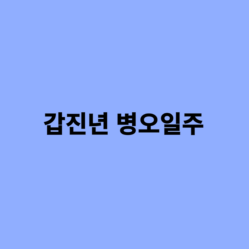 2024 갑진년 병오일주 남자, 여자 사주