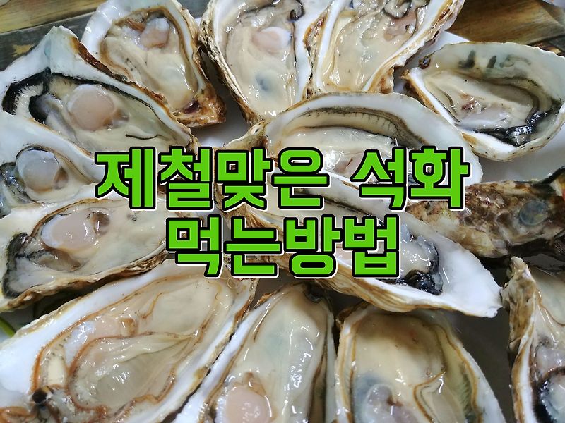 제철맞은 석화 맛있게 먹는 방법