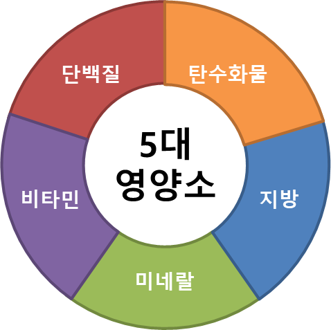 필수 영양소 : 최적의 건강을 위하여