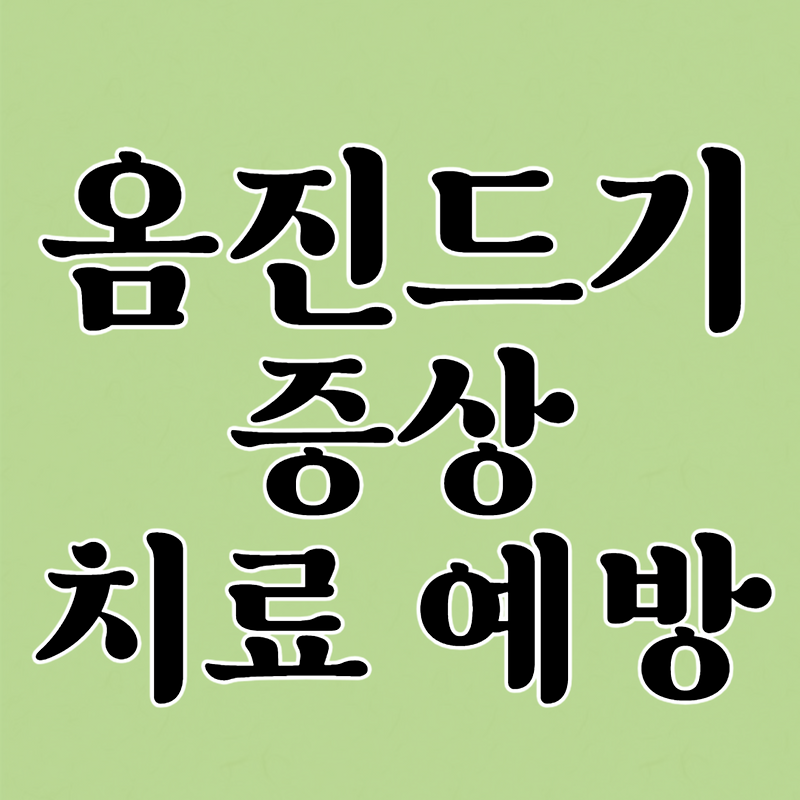 옴 진드기 증상 치료 예방
