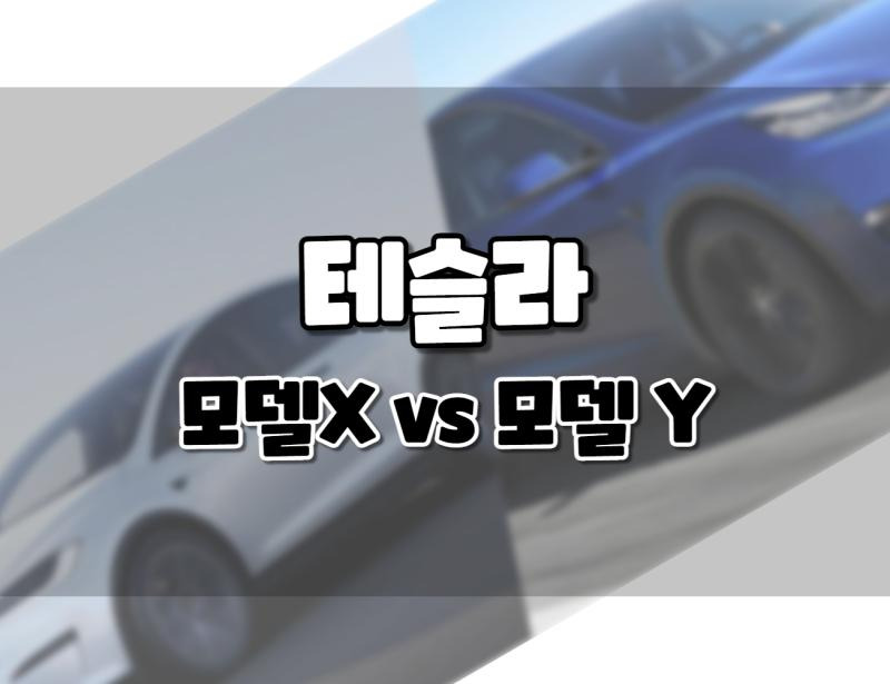 테슬라 모델X vs. 테슬라 모델 Y: 차이점 비교. 뭘 살까?