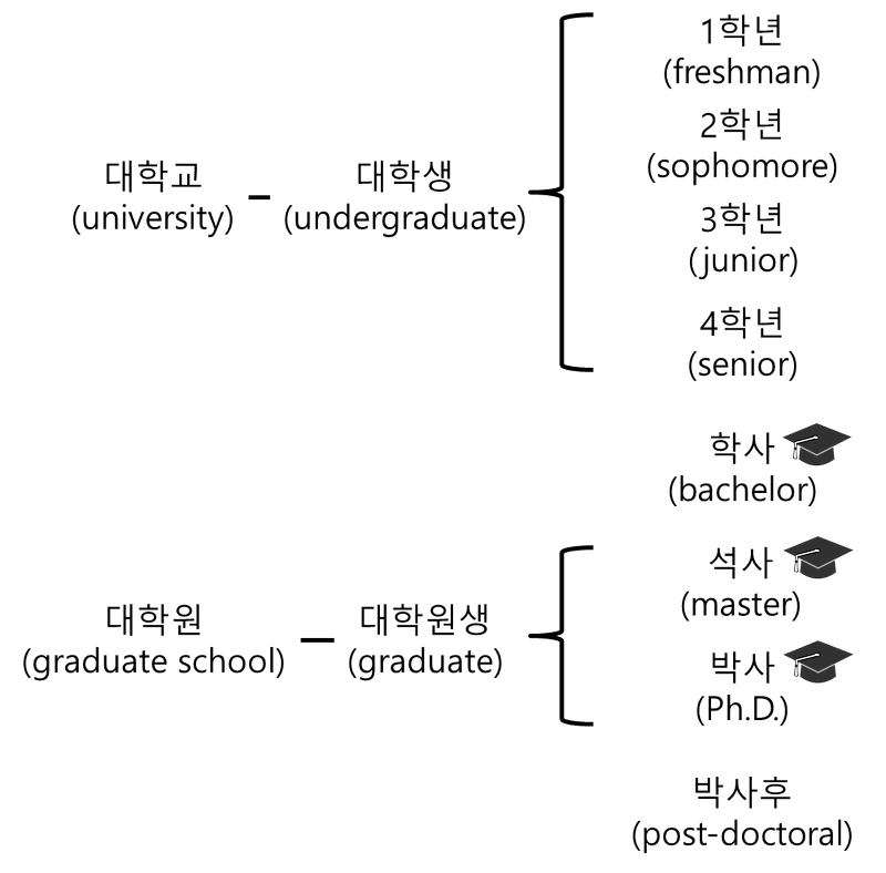 대학교 1, 2, 3, 4학년, 학사, 석사, 박사, 박사후 영어로 어떻게?