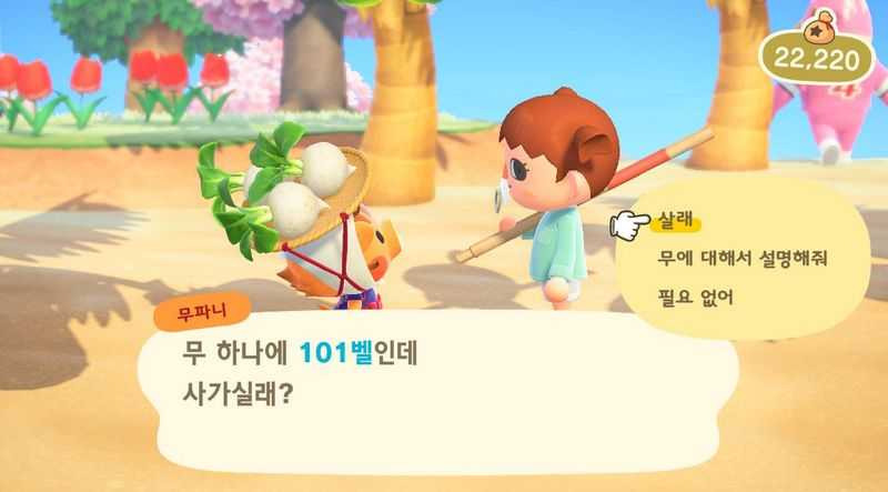 모여봐요 동물의 숲 모동숲 무주식 무파니 썩은 무 가격 예측