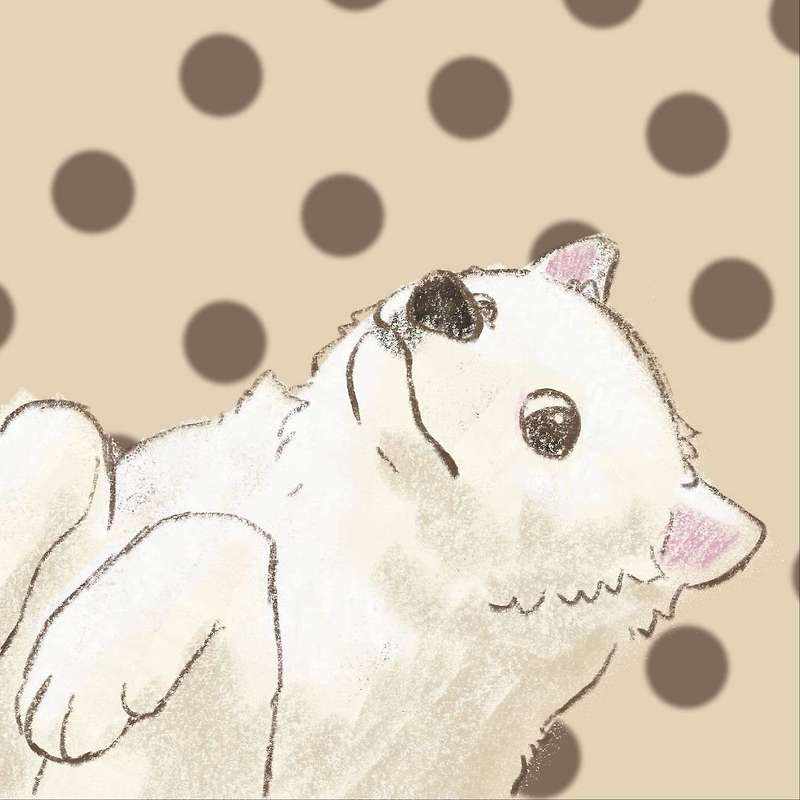 optional-java-null-safety