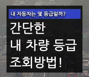 내 차는 몇등급일까..? 차량 등급조회 방법 - 야옹멍멍 경제 다이어리