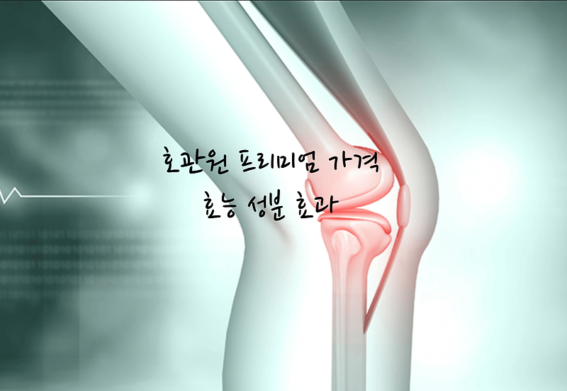 호관원 프리미엄 가격 효능 성분 효과