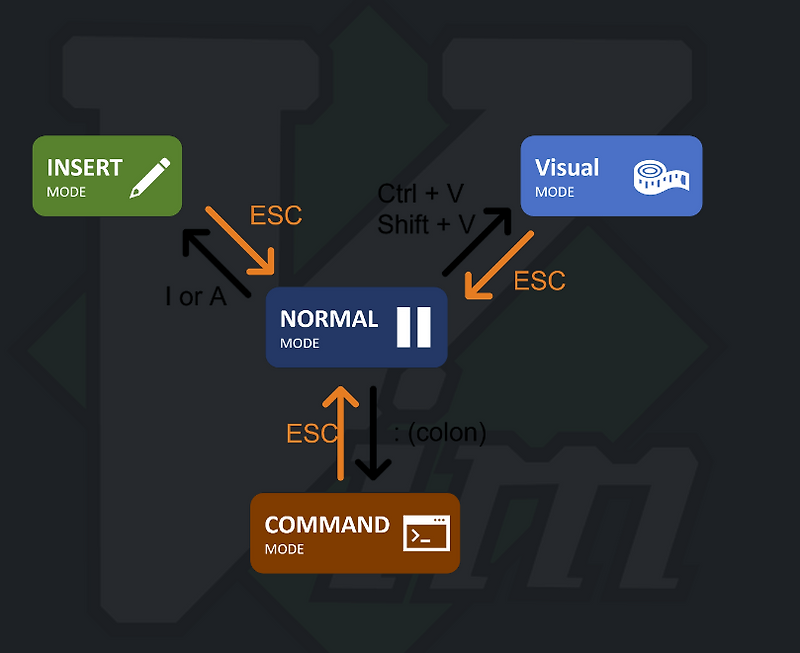 vim 모드, 파일 열기, 저장, 종료 — Command not found