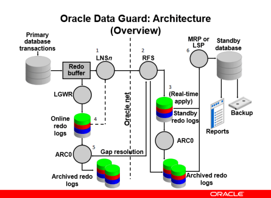 Adg oracle что это