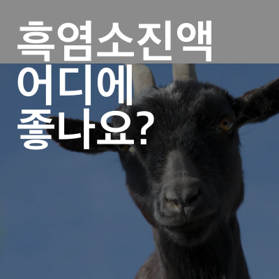 흑염소진액 효능, 부작용 궁금해서 알아봄