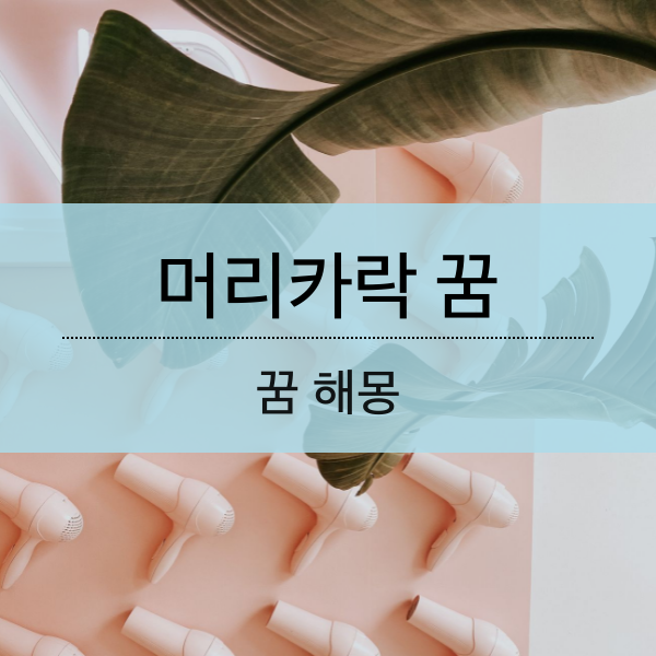 해몽] 머리카락 꿈 풀이