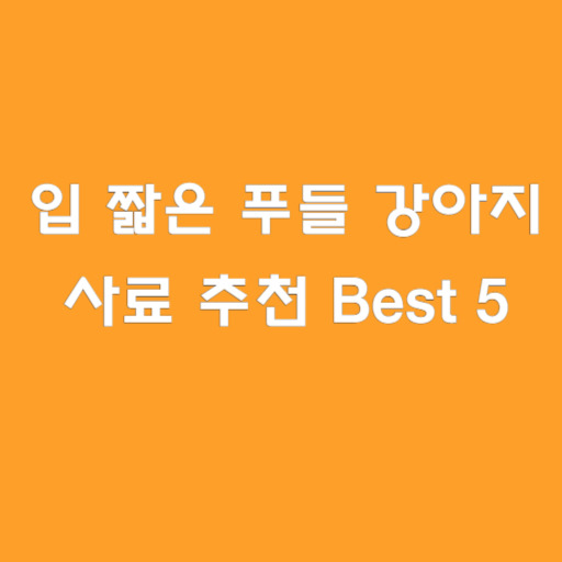 입 짧은 푸들 강아지 사료 추천! 푸들 강아지 잘먹는 사료 Best 5