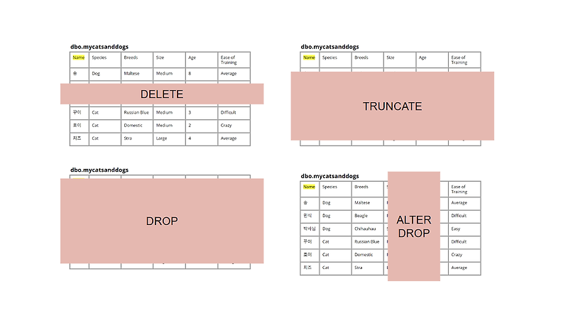 [SQL Server] 테이블/데이터 지우기(TRUNCATE, DELETE, DROP)