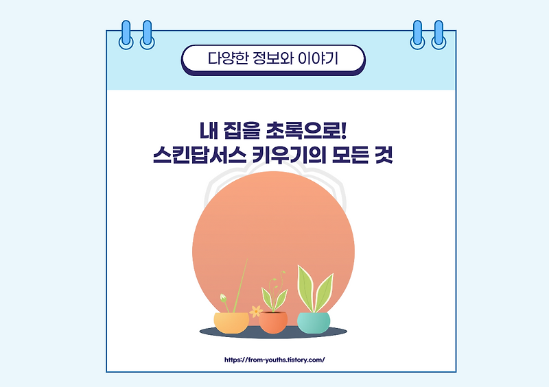 스킨답서스, 집에서도 쉽게 기르는 법과 관리 팁