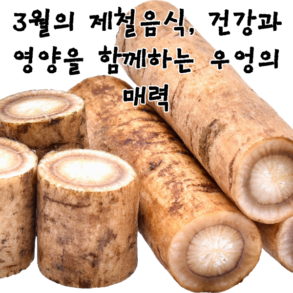 3월의 제철음식, 건강과 영양을 함께하는 우엉의 매력
