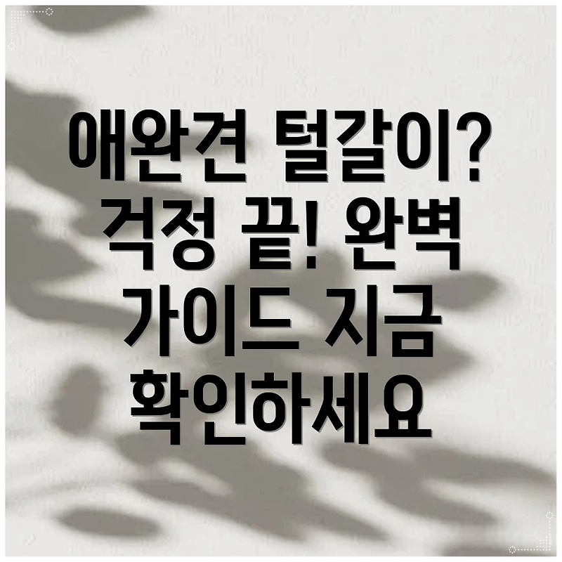 애완견 털갈이 대작전 털 날리는 걱정 끝내는 완벽 가이드