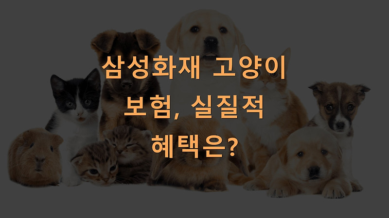 삼성화재 고양이 보험, 실질적 혜택은?