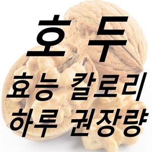 호두 효능 효과 칼로리 하루 섭취량 권장량 부작용