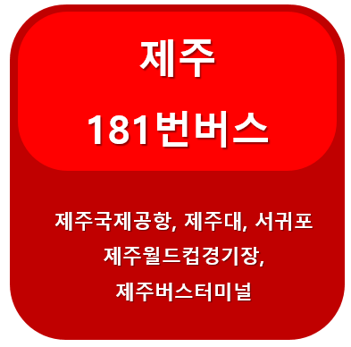 제주 181번 버스 시간표, 노선 정보(제주국제공항, 제주대학교, 서귀포, 월드컵경기장)