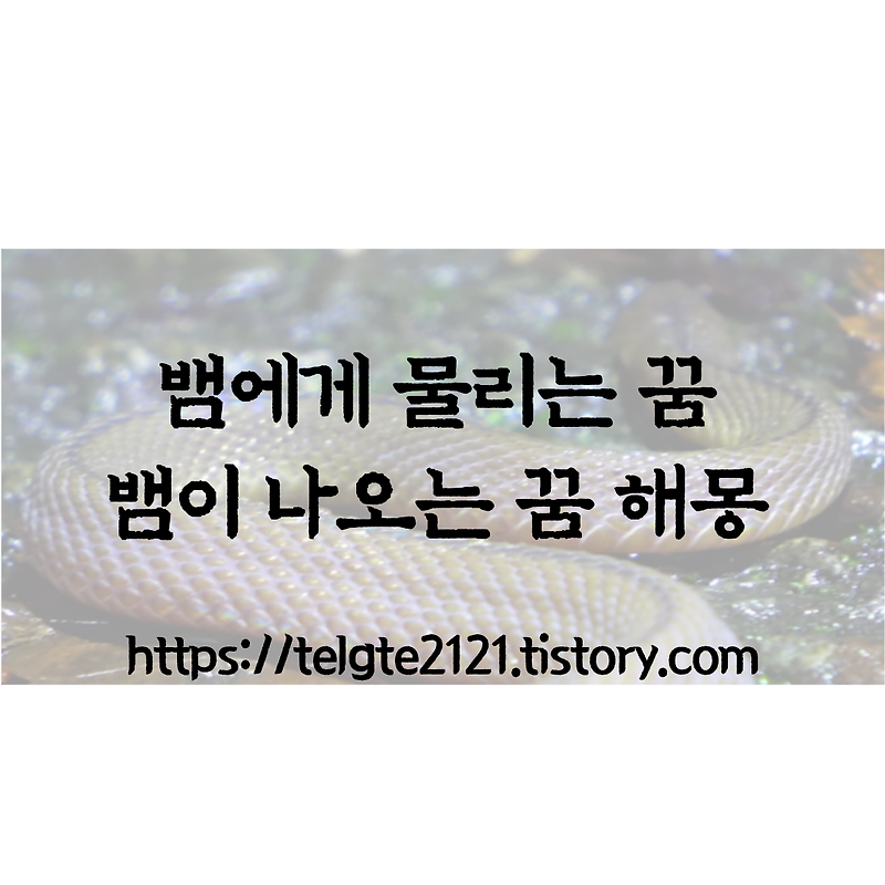 뱀에게 물리는 꿈. 뱀이 나오는 꿈 해몽 24가지