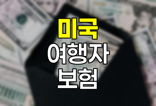 미국 여행자 보험 선택 전략 - Memoryu