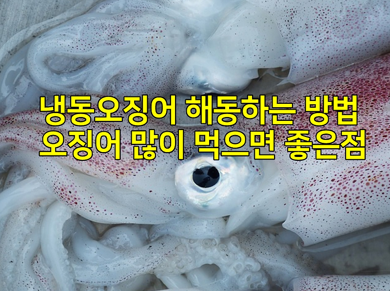 냉동오징어 해동하는 방법과 오징어 많이 먹으면 좋은점