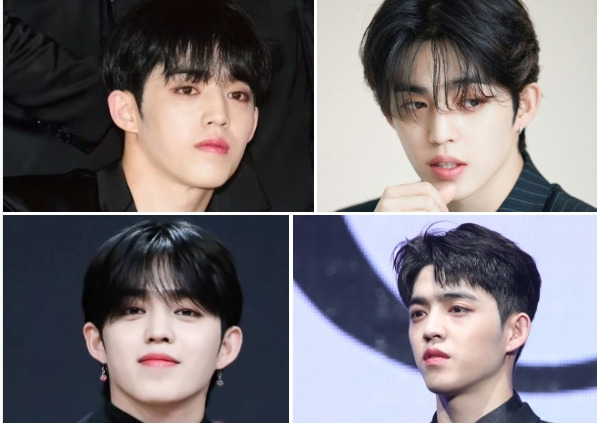 세븐틴 소속사 플레디스 랩 파워 대표, 에스쿱스의 특별한 무대 프로필