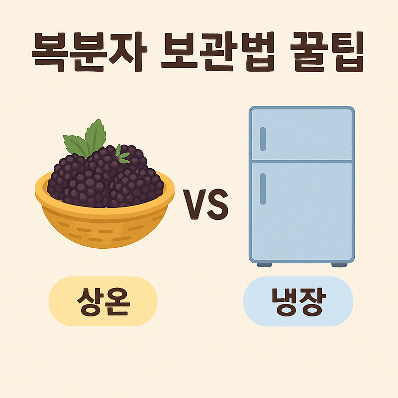 복분자 보관법 꿀팁! 상온과 냉장 보관의 결정적 차이🍇