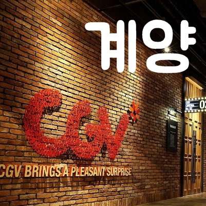 계양 Cgv 상영시간표 : 오늘의 상영작 소개