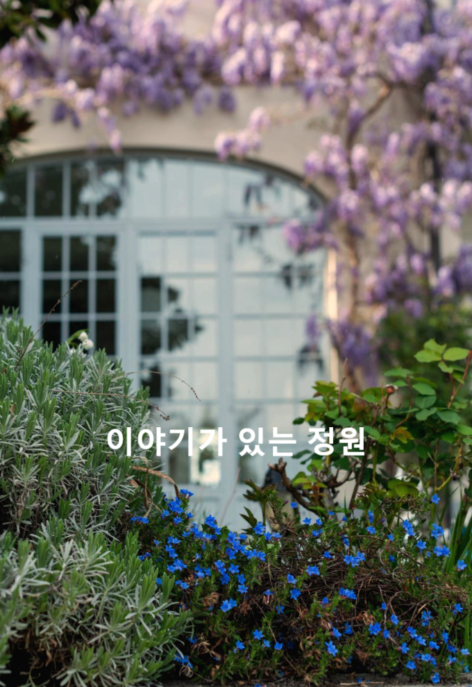 ✔봄 관련 짧은 시②(이해인 시인, 3월의 바람 속에, 봄 햇살 속으로, 봄의 연가, 우리 서로 사랑하면 언제라도 봄,  말의 빛, 작은 위로, 시간의 얼굴, 시 감상)
