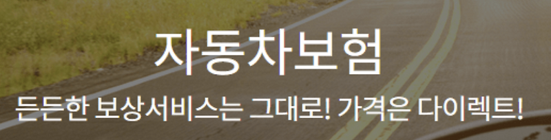 자동차 보험 비교 분석 6가지 (현대해상, DB, 삼성화재, 메리츠, 캐롯, KB)