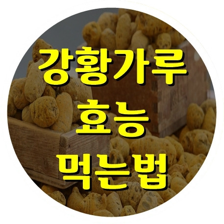 소셜크레딧  :: 강황가루 효능 먹는법 , 완벽 정리