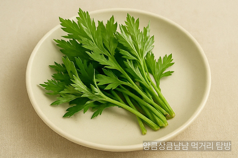 봄철 건강 비밀? 피로회복? 쑥 한 줌이면 충분합니다!